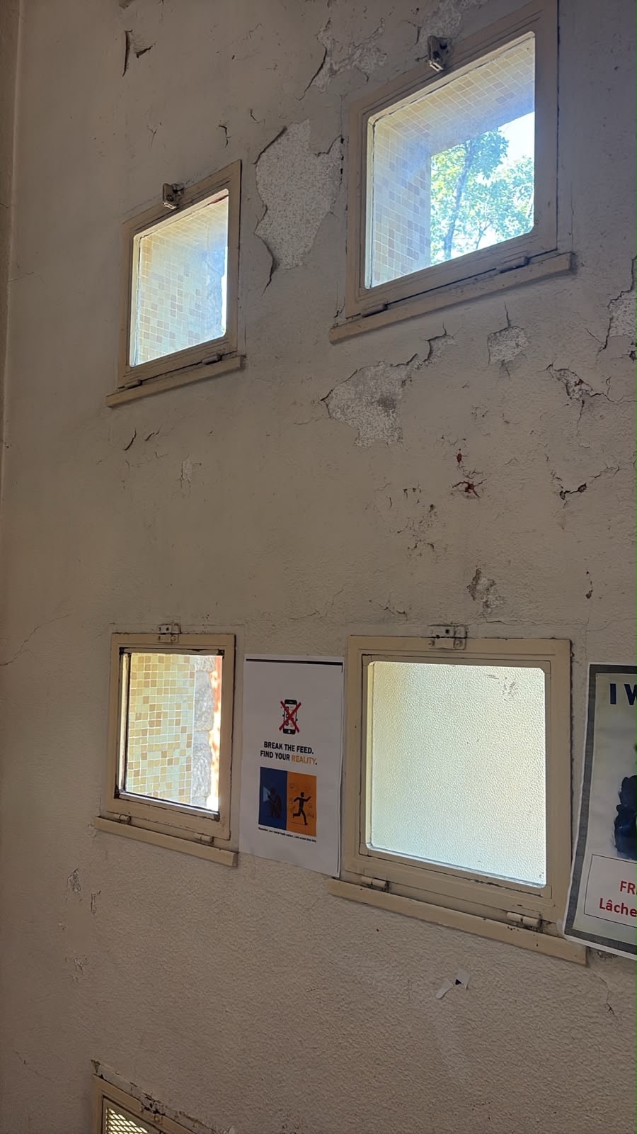 Ratissage et peinture — Bâtiment public — photo 4